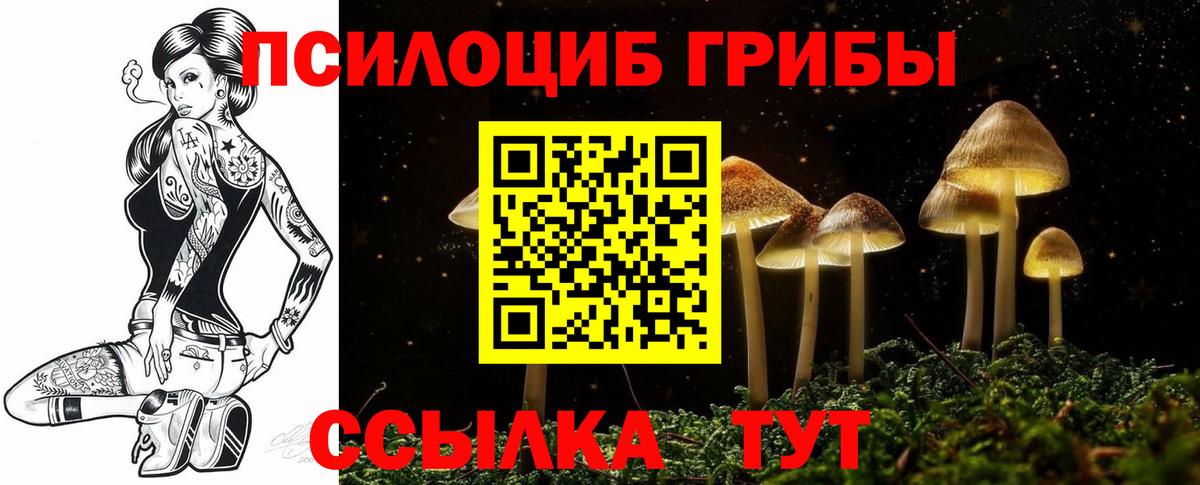 Галлюциногенные грибы GOLDEN TEACHER  Вход с VPN  Северск 